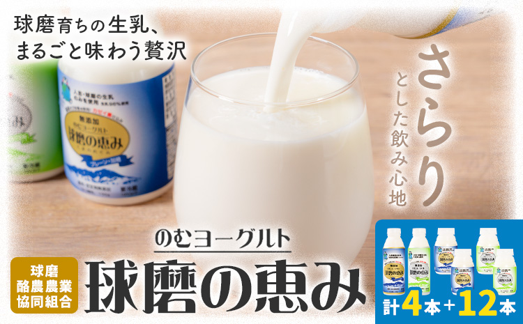 球磨の恵み のむヨーグルト 450g×4本 150g×12本 球磨酪農農業協同組合《30日以内に出荷予定(土日祝除く)》熊本県 球磨郡 山江村 球磨の恵みのむヨーグルト 加糖 砂糖不使用 熊本県産 生乳 使用---ym_ckrkmny_30d_r7_14000_16p---