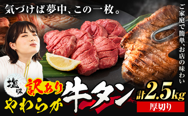 牛タン 厚切り 塩味 2.5kg 500g×5袋 《30日以内に出荷予定(土日祝除く)》牛肉 肉 牛 たん タン 牛たん 焼くだけ 訳あり 焼肉 焼き肉 熊本県 山江村 厚切り BBQ タン下 塩牛タン 冷凍 味付け肉 一番人気 塩味 お取り寄せ---ym_fgyutan_30d_r7_38500_2500g_a---st-p