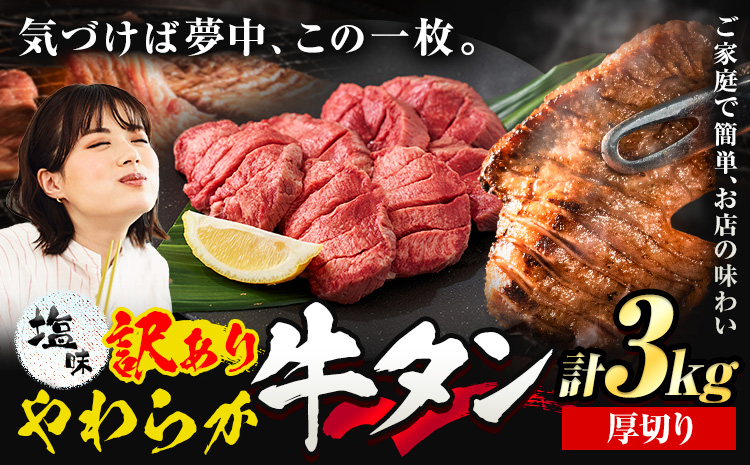 牛タン 厚切り 塩味 3kg 500g×6袋 《30日以内に出荷予定(土日祝除く)》牛肉 肉 牛 たん タン 牛たん 焼くだけ 訳あり 焼肉 焼き肉 熊本県 山江村 厚切り BBQ タン下 塩牛タン 冷凍 味付け肉 一番人気 塩味 お取り寄せ---ym_fgyutan_30d_r7_43500_3kg_a---st-p