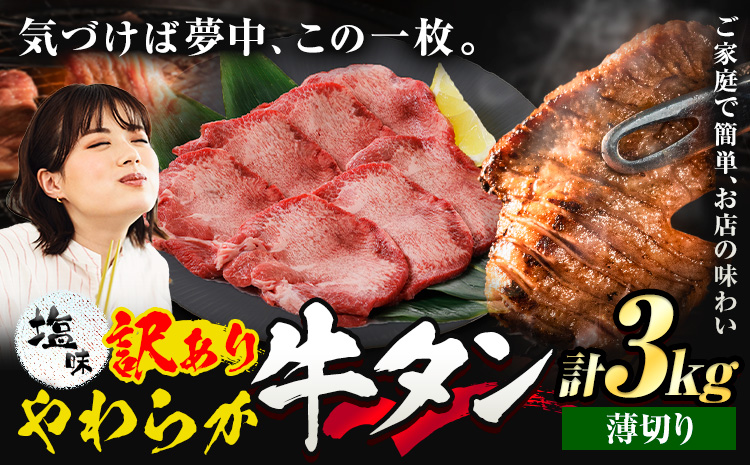 牛タン 薄切り 塩味 3kg 500g×6袋 《30日以内に出荷予定(土日祝除く)》 牛肉 肉 牛 たん タン 牛たん 焼くだけ 訳あり 焼肉 焼き肉 熊本県 山江村 薄切り BBQ タン下 塩牛タン 冷凍 味付け肉 一番人気 塩味 お取り寄せ---ym_fgyutan_30d_r7_43500_3kg_u---st-p