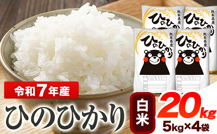 令和7年産 ひのひかり  白米 20kg 《7-14日以内に出荷予定(土日祝除く)》 熊本県産 白米 精米 ひの 送料無料 熊本県 山江村---ym_hn7_wx_49500_20kg_h---