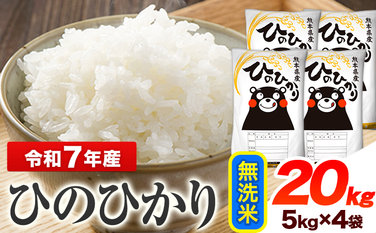 令和7年産 ひのひかり  無洗米 20kg 《7-14日以内に出荷予定(土日祝除く)》 熊本県産 無洗米 精米 ひの 送料無料 熊本県 山江村---ym_hn7_wx_43000_20kg_m---