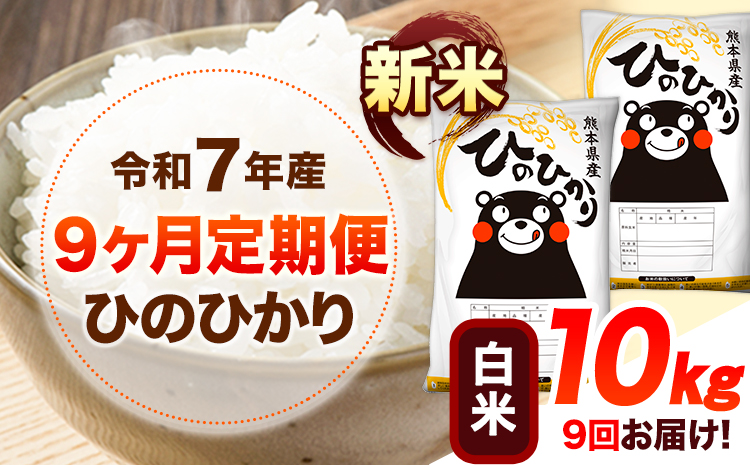 新米 令和7年産 【9ヶ月定期便】 白米 ひのひかり 10kg 《お申し込み月の翌月から出荷開始》 熊本県産 無洗米 白米 精米 ひの 送料無料 熊本県 山江村 SDGs むせんまい 米 コメ こめ 国産---hn7tei_229500_10kg_mo9_ym_h---