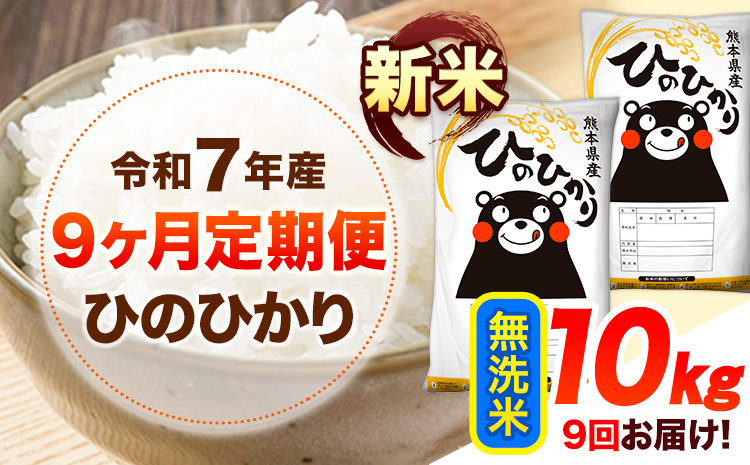 新米 令和7年産 【9ヶ月定期便】 無洗米 ひのひかり 10kg 《お申し込み月の翌月から出荷開始》 熊本県産 無洗米 白米 精米 ひの 送料無料 熊本県 山江村 SDGs むせんまい 米 コメ こめ 国産---hn7tei_229500_10kg_mo9_ym_m---