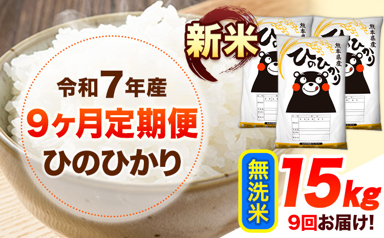新米 令和7年産 【9ヶ月定期便】 無洗米 ひのひかり 15kg 《お申し込み月の翌月から出荷開始》 熊本県産 無洗米 白米 精米 ひの 送料無料 熊本県 山江村 SDGs むせんまい 米 コメ こめ 国産---hn7tei_337500_15kg_mo9_ym_m---