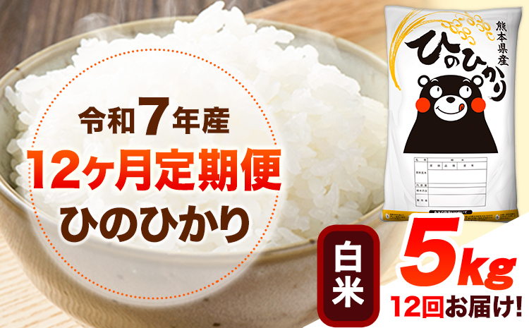 令和7年産【12ヶ月定期便】 白米 ひのひかり 5kg 《お申込み翌月から出荷》 熊本県産 白米 精米 ひの 送料無料 熊本県 山江村 SDGs 米 コメ こめ 国産---hn7tei_138000_5kg_mo12_ym_h---