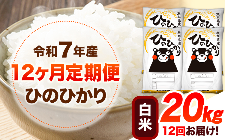 令和7年産【12ヶ月定期便】 白米 ひのひかり 20kg 《お申込み翌月から出荷》 熊本県産 白米 精米 ひの 送料無料 熊本県 山江村 SDGs 米 コメ こめ 国産---hn7tei_516000_20kg_mo12_ym_h---