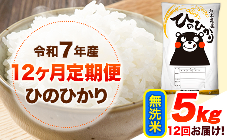 令和7年産【12ヶ月定期便】 無洗米 ひのひかり 5kg 《お申込み翌月から出荷》 熊本県産 無洗米 精米 ひの 送料無料 熊本県 山江村 SDGs 米 コメ こめ 国産---hn7tei_138000_5kg_mo12_ym_m---