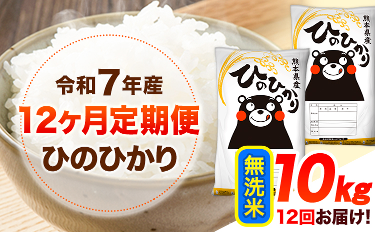 令和7年産【12ヶ月定期便】 無洗米 ひのひかり 10kg 《お申込み翌月から出荷》 熊本県産 無洗米 精米 ひの 送料無料 熊本県 山江村 SDGs 米 コメ こめ 国産---hn7tei_264000_10kg_mo12_ym_m---