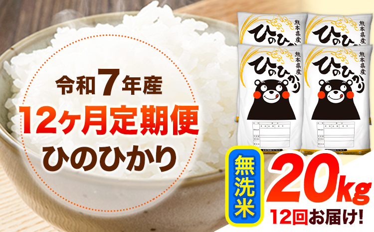 令和7年産【12ヶ月定期便】 無洗米 ひのひかり 20kg 《お申込み翌月から出荷》 熊本県産 無洗米 精米 ひの 送料無料 熊本県 山江村 SDGs 米 コメ こめ 国産---hn7tei_516000_20kg_mo12_ym_m---