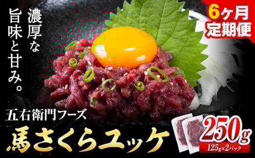 馬肉 馬さくらユッケ 125g × 2パック 1.5kg 6ヶ月定期便 五右衛門フーズ 《お申込み月の翌月から出荷開始》 熊本県 球磨郡 山江村 馬肉 肉 国産 馬 さくら ユッケ 小分け 送料無料---sy_fgoeskyktei_r7_80000_250g_mo6---