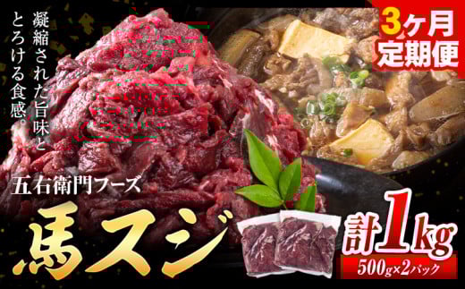 馬肉 馬スジ 500g × 2パック 3kg 3ヶ月定期便 五右衛門フーズ 《お申込み月の翌月から出荷開始》 熊本県 球磨郡 山江村 馬肉 肉 国産 スジ カレー 煮込み おでん おかず 送料無料---sy_fgoeumsjtei_r7_40500_1kg_mo3---