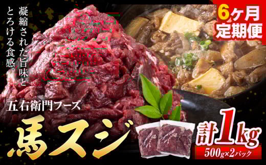 馬肉 馬スジ 500g × 2パック 6kg 6ヶ月定期便 五右衛門フーズ 《お申込み月の翌月から出荷開始》 熊本県 球磨郡 山江村 馬肉 肉 国産 スジ カレー 煮込み おでん おかず 送料無料---sy_fgoeumsjtei_r7_80000_1kg_mo6---