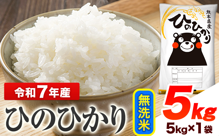 令和7年産 ひのひかり 無洗米 5kg [7-14日以内に出荷予定(土日祝除く)予定] 熊本県産 無洗米 精米 ひの 送料無料 熊本県 山江村---ym_hn7_wx_14500_5kg_m---