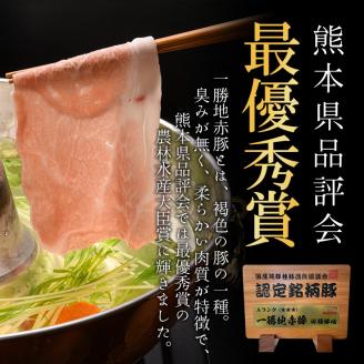 FKP9-420 【2カ月定期便】一勝地赤豚 しゃぶしゃぶ・焼肉 堪能定期便