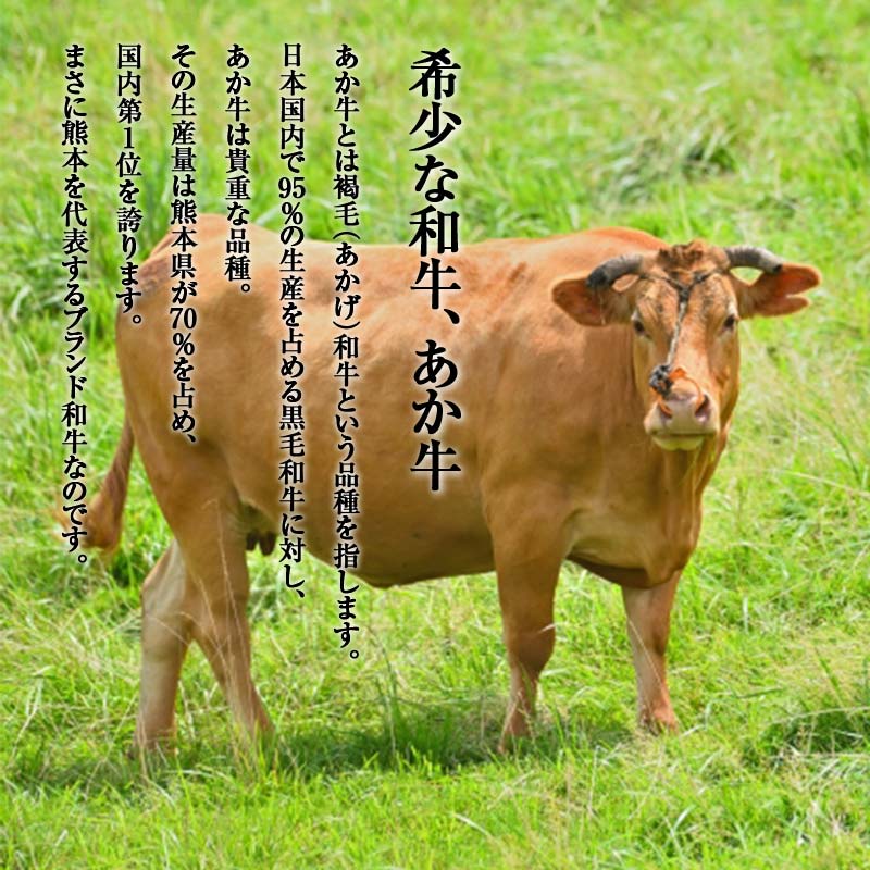 FKP9-645 あか牛切り落とし 600g（300ｇ×2パック） 牛肉 牛 赤身 小分け