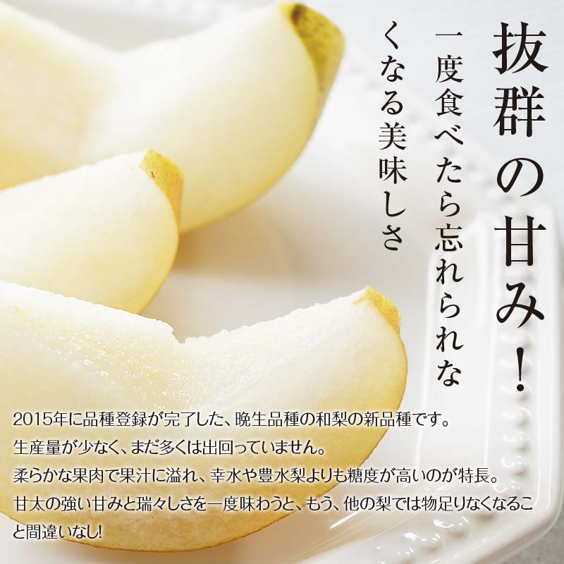 FKP9-651 【先行予約】極あまっ！甘太 (約2.5kg) なし ナシ 梨 デザート フルーツ 果物 くだもの 果実 食品