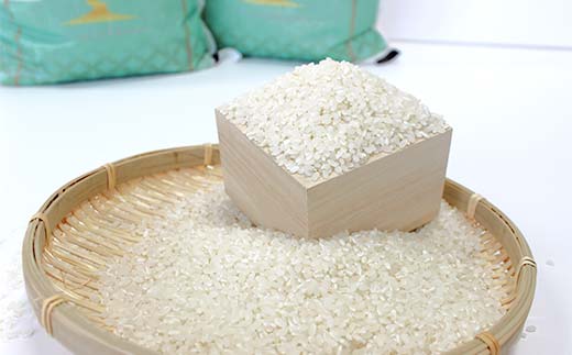 FKP9-679 【令和7年度産】人吉球磨産白米 くまさんの輝き 5kg 新米 白米 精米 ふっくら 国産米 おすすめ 農家