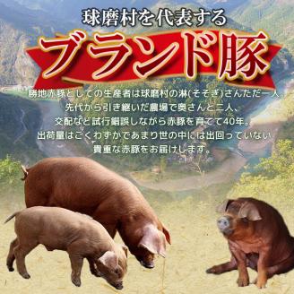 FKP9-460【6ヵ月定期】一勝地赤豚焼肉セット(1kg)