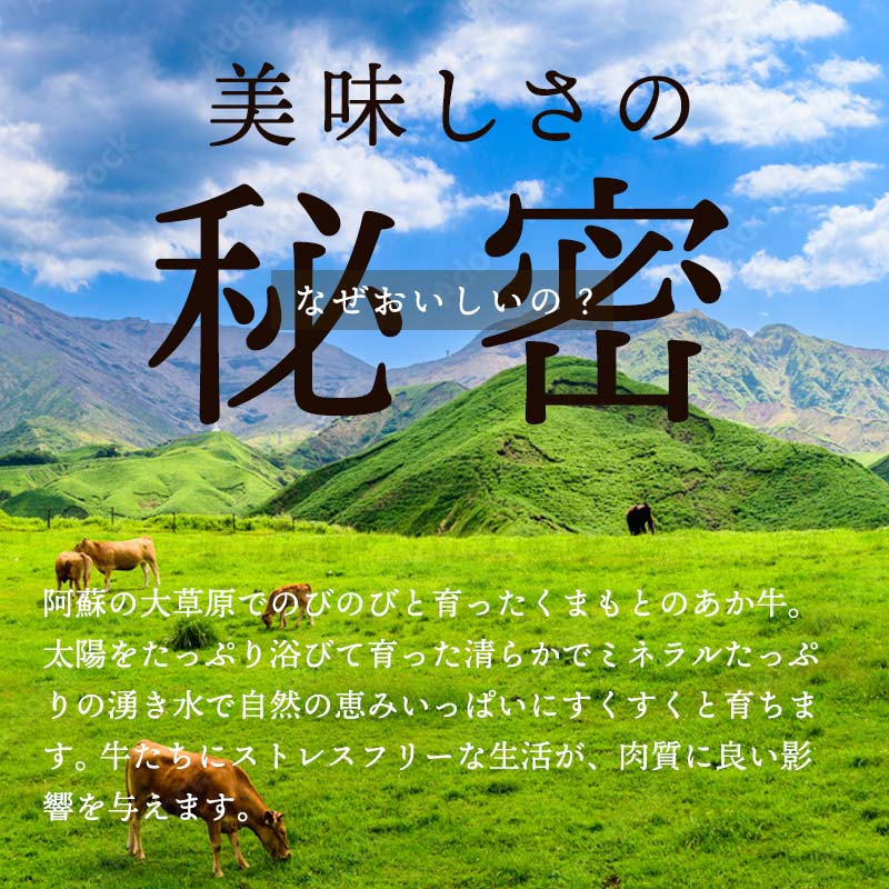 FKP9-471 【数量限定】 【ＧＩ認証】 くまもとあか牛ロースステーキ（500g）