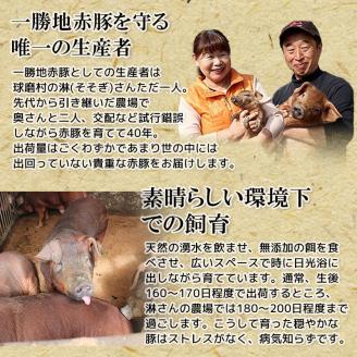 FKP9-447  【12カ月定期便】一勝地赤豚 しゃぶしゃぶ・焼肉 堪能定期便