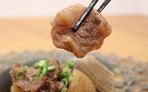 くまもとあか牛 スジ 1kg 牛肉 冷凍 九州 熊本県 球磨村 FKP9-619