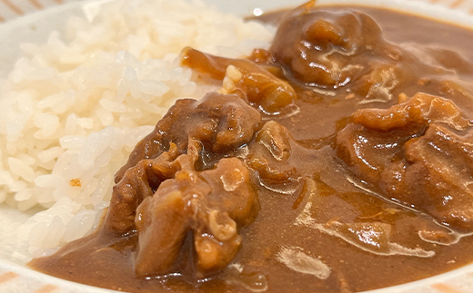 馬小間スライス1kg (500g×2) 馬肉 冷凍 九州 熊本県 球磨村 FKP9-620