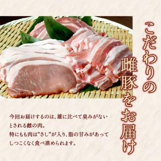 FKP9-461【12ヵ月定期】一勝地赤豚焼肉セット(1kg)