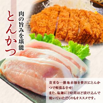 FKP9-525 一勝地赤豚 とんかつ用 10枚（約1.5kg）