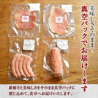 FKP9-259 一勝地赤豚 ソーセージ・生ハム詰合せ