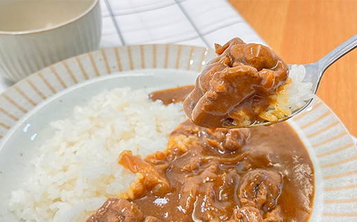 馬小間スライス1kg (500g×2) 馬肉 冷凍 九州 熊本県 球磨村 FKP9-620