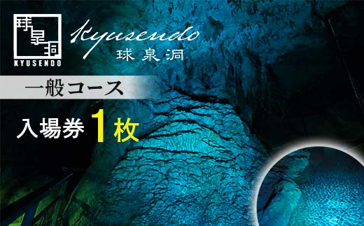 球泉洞 入場チケット (一般コース) 1枚 鍾乳洞 鍾乳石 地下 観光 自然 FKP9-615