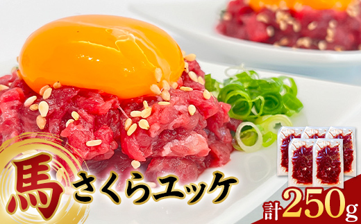 馬さくら ユッケ 250g (50g×5) 馬肉 小分け 冷凍 九州 熊本県 球磨村 FKP9-617