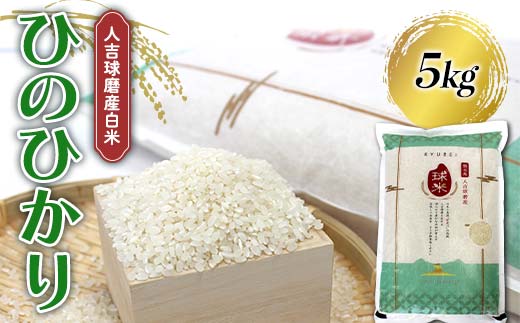 FKP9-678 【令和7年度産】人吉球磨産白米 ひのひかり 5kg 新米 白米 精米 ふっくら 国産米 おすすめ 農家