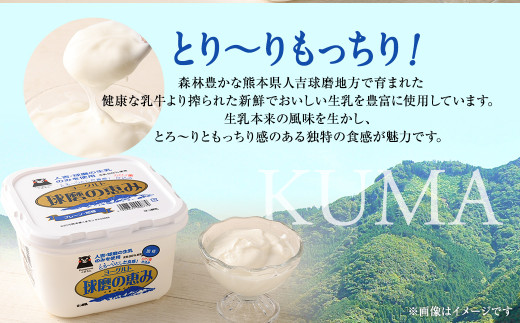 とろ～り食感!!球磨の恵みヨーグルト 加糖タイプ 1kg×4パック