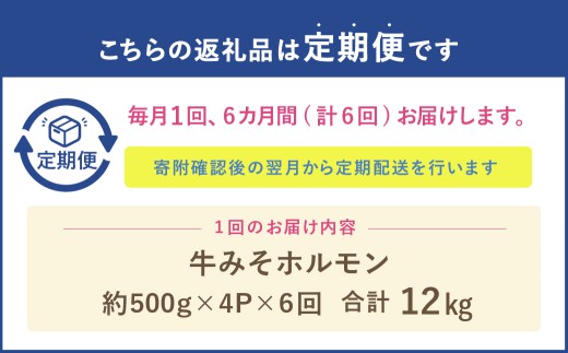 【定期便6回】 牛みそホルモン 1回あたり：計約2kg（約500g×4パック） 肉 お肉 ホルモン 焼肉 焼き肉 牛大腸 肉厚 冷凍