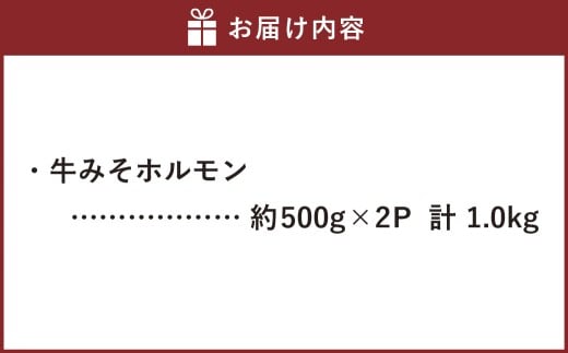 牛みそホルモン 計約1kg（約500g×2パック）