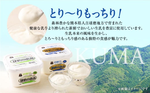 とろ～り食感!!球磨の恵みヨーグルトセット1kg×4パック (加糖・砂糖不使用 各2パック)