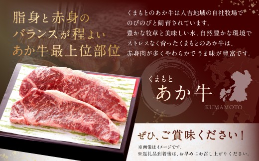 くまもとあか牛 サーロインステーキ 約500g （約250g×2）