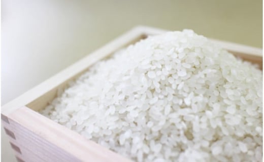 【3回定期便】 熊本県あさぎり町産のお米ヒノヒカリ 10kg（5kg×2袋）×3回発送