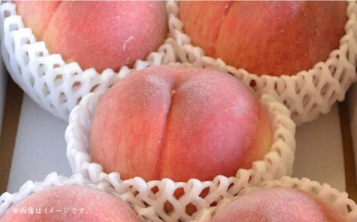 【フルーツ3回定期便】 桃1kg＋梨5kg＋栗2kg