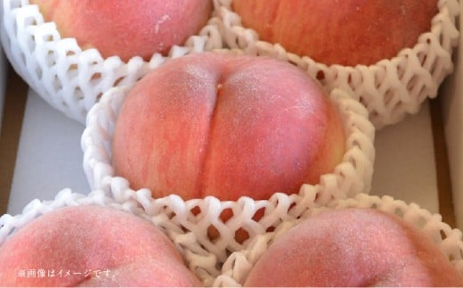 【フルーツ2回定期便】 桃1kg＋梨5kg