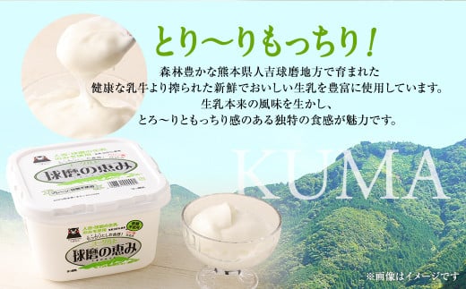 とろ～り食感!!球磨の恵みヨーグルト 砂糖不使用タイプ 1kg×4パック