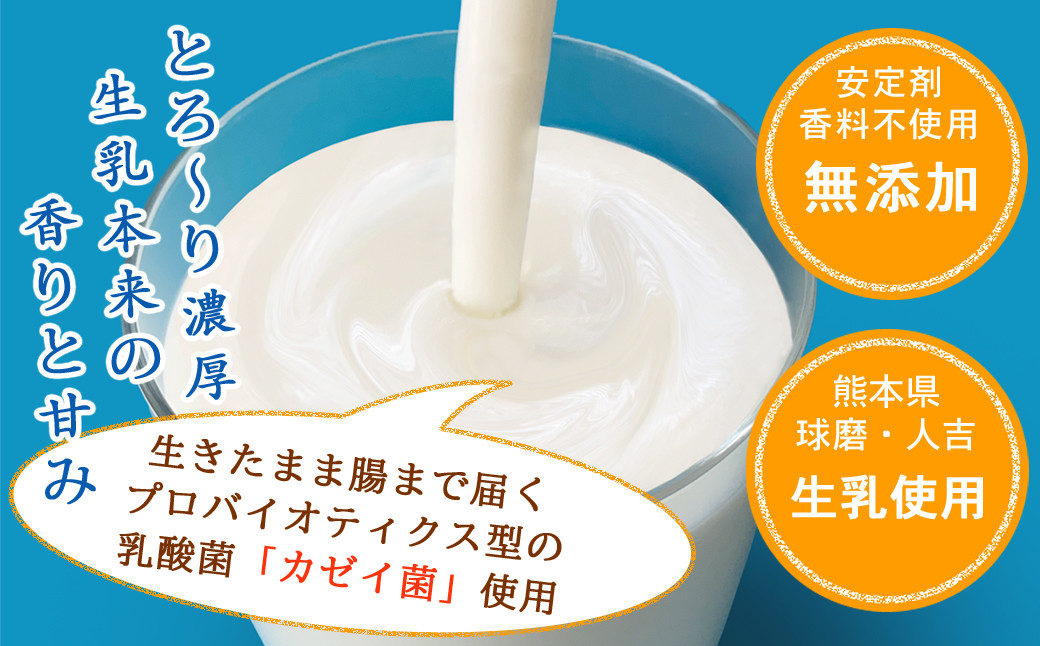 球磨の恵みヨーグルト詰合わせセット(ヨーグルト1kg×2個・のむヨーグルト450g×2本・のむヨーグルト150g×6本)