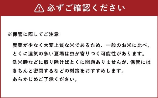 令和7年産 熊本県あさぎり町産のお米 ヒノヒカリ 5kg (5kg×1袋)