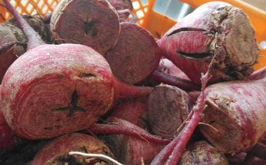 【訳あり】自社農園栽培 生ビーツ2kg