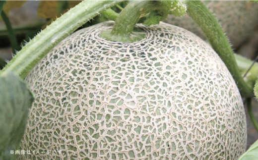 【フルーツ3回定期便】 球磨のいちご1kg×4パック＋アンデスメロン5kg＋桃1kg