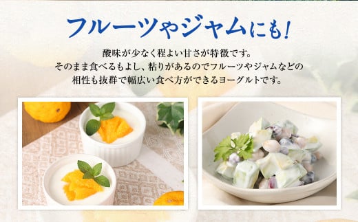 とろ～り食感!!球磨の恵みヨーグルト 加糖タイプ 1kg×4パック