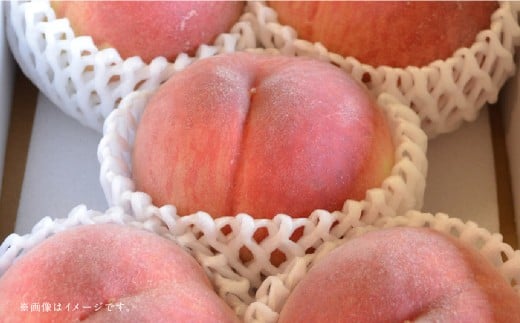 【フルーツ3回定期便】 球磨のいちご1kg×4パック＋桃1kg