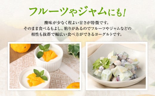 とろ～り食感!!球磨の恵みヨーグルト 砂糖不使用タイプ 1kg×3パック